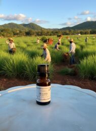 Vetiver Essential Oil - Image 2